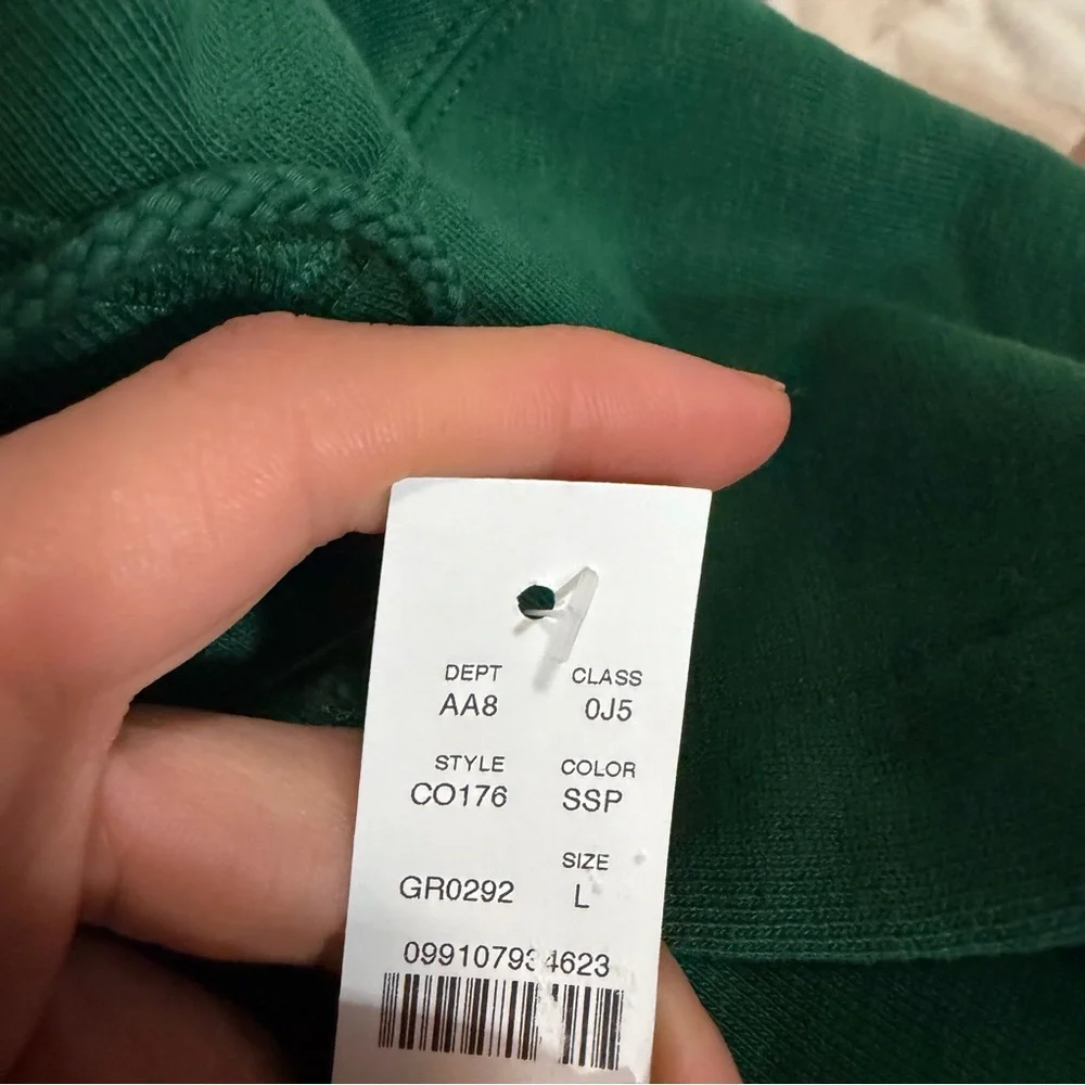J crew serene spruce green '83 fleece hoodie